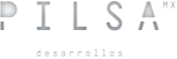 pilsa logo