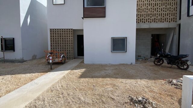 Modelo 134 Palmas 20