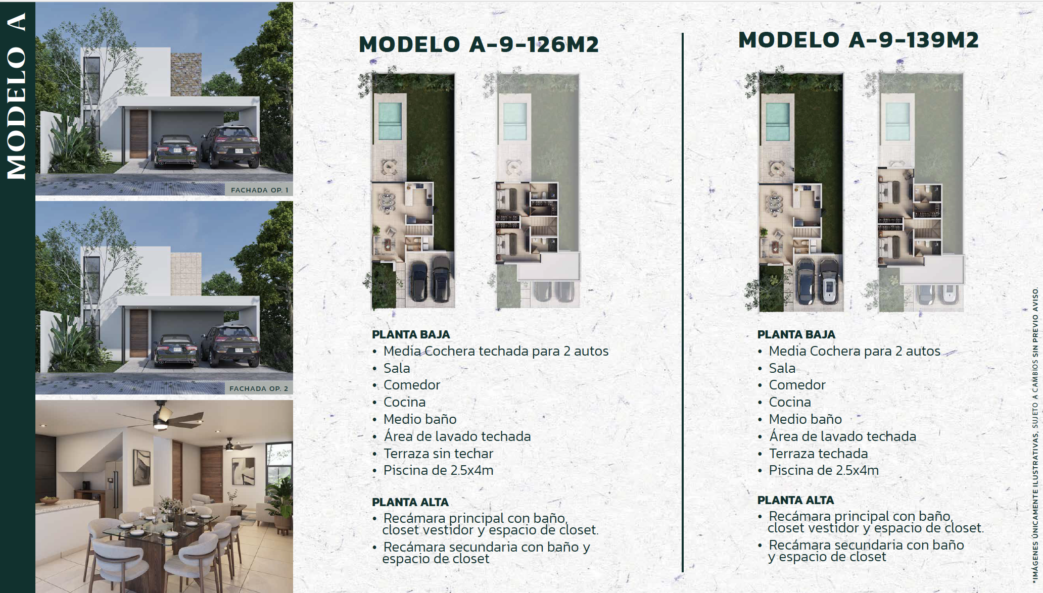 modelo a gran bosco