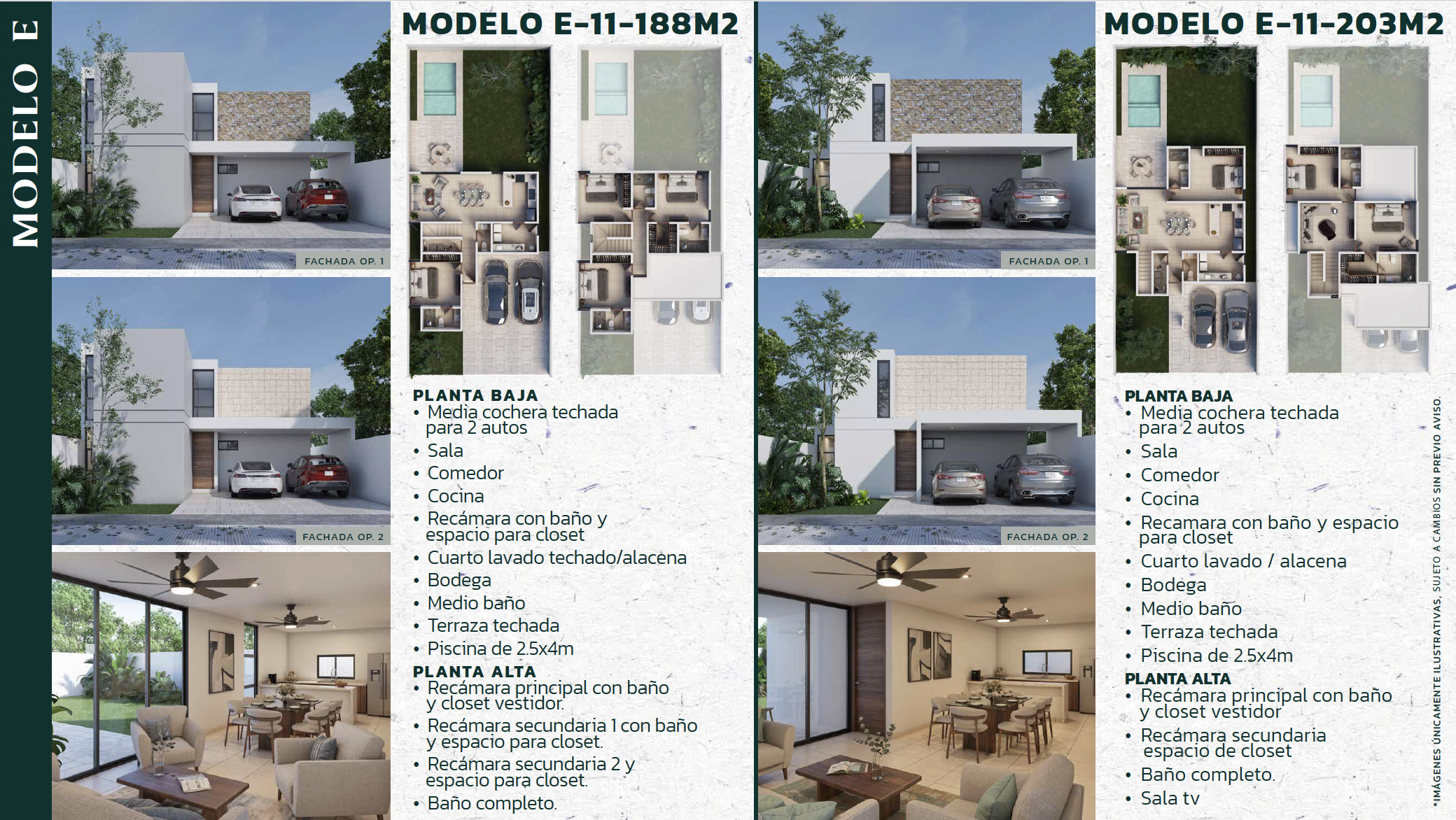 modelo e gran bosco